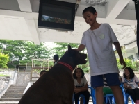廖瞇 x Migu與牠的家人
練習友善的與狗狗互動
花蓮榮豐鄉紅葉國小